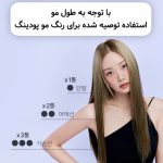 رنگ مو پودینگی بدون امونیاک محبوب Ezn - Image 19