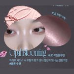 هایلایتر و رژگونه براق الماسی Fwee - Image 8