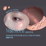 هایلایتر و رژگونه براق الماسی Fwee - Image 7