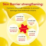 سرم روشن کننده و‌ ضدلک ویتامینه EQQUALBERRY - Image 7