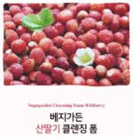 فوم شستشوی صورت Skinfood Vege Garden - Image 6