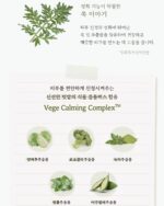 فوم شستشوی صورت Skinfood Vege Garden - Image 31
