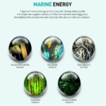 اسپری ضدآفتاب سبک و آبرسان عصاره مروارید ‏JM Solution - Image 3