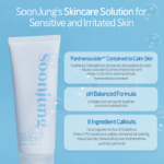 فوم شستشوی صورت با پی اچ متعادل ETUDE Soon Jung Ph 5.5 - Image 6